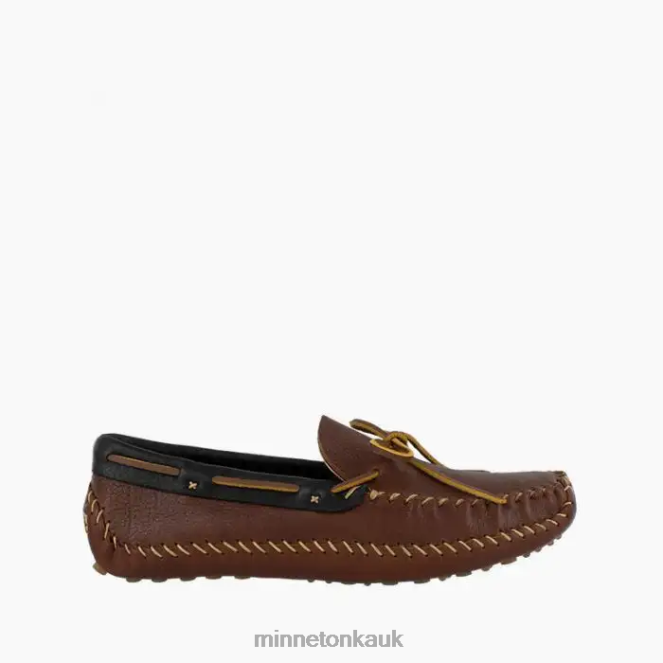 Brown with Black Collar